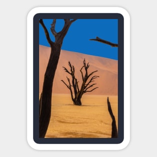 Namibia. Namib-Naukluft National Park. Deadvlei. Framed Dead Trees. Sticker